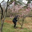 화은농장 이미지