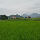 개울달천 이미지