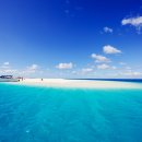 파라다이스 이미지