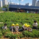 윤가네 농장 이미지