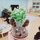 화일초등학교병설유치원 이미지