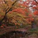 테마산악회 11월 정기산행 이미지