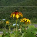 진동계곡산장1 이미지