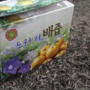 도라지배즙추천 물 한 방울도 안 넣고 달인 진짜 도라지배즙 우리건강원 요즘 날씨에 제격!