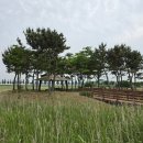 안산-대부-대부-육도2 | [대부도 가볼 만한 곳] 대부바다향기테마파크 6월 초 방문 후기!(FT. 주차정보)