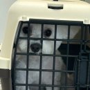 아이뽀 강아지미용실 이미지