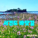 강정동-75 이미지