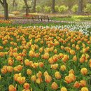 용비쉼터 이미지