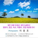 제주옹기숨미술관 이미지