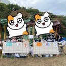 야탑교 | 비바삭스 양말 도매 소매 판촉물 선물세트