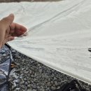 사리팜 | [13번째캠핑]커다란 실내놀이터가 있는 경주 트리팜 캠프 후기