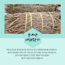 제천약초뜰