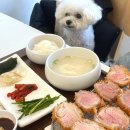 소반식당 | 카츠소반, 울산 동구 애견동반 식당 돈가스 맛집 후기