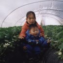 한솔이네농장 이미지