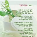 말씀삶