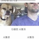 청주자동차운전전문학원 이미지