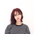 데이민 이미지