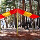 M스크린 이미지