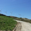 김삿갓면-28 이미지