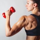 피트니스코 이미지