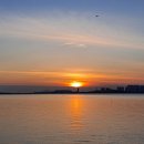 배곧한울공원 이미지