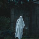 니니시나제약 | 니니키즈의 심야괴담 광주｜7월 26일 공연시간 예매 가격 주차