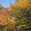 큐빌리아드클럽 | [덕질] 유우리 내한콘 후기, 킨텍스 스탠딩석 200번대 중반 시야, 유우리 인생네컷