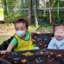 하마터어린이공원 이미지