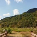 슬로시티수산마을 오마이뉴스
