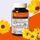 메이플트리