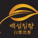 백설침향