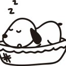 코리아동물병원 이미지