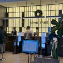 나인트리 바이 파르나스 서울 판교 수영장 이미지