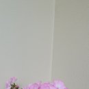 초인모텔 이미지