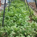 남창원농협 경제사업소 이미지