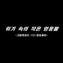 고일태권도 이미지