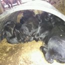 베다니농장 이미지