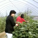 미영농장 이미지