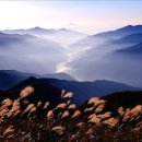강산