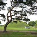 바람꽃펜션 이미지