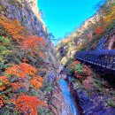 설악산 천불동 계곡 단풍(10/14) 이미지