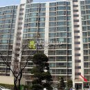 용현로 Daum카페