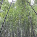 임금님보리밥 | [맛집][울산]울산 태화강 국가정원 인근 임금님 보리밥 후기