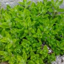 바젤PC방 이미지