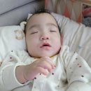 셋째]25주4일 560g 조산아/미숙아/이른둥이/생후 375일/교정 274일/집 온지 244일/ 교정 9개월 4일/돌...