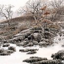 한국화(수묵 담채화) 이미지