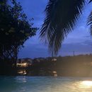 웰스약국 이미지