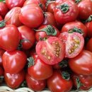 루비마로 이미지