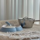 초기 이유식 준비물 추천 릴리팟 이유식 냄비 사용 후기
