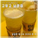 소프트마을(주) | 부산 남포역 카페｜고망고 메뉴｜코코넛음료 맛집 내돈내산 후기